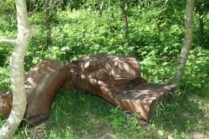 Newt Seat - carved by Peter Freeman Photo by Su Haselton