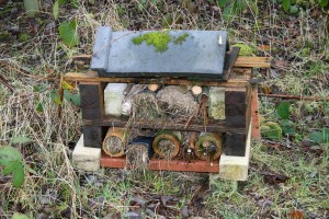 Bug Hotels can be small Photo by Su Haselton 