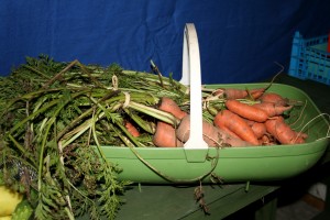 Freshly dug carrots from our 'Veg Plot' for sale Photo by Su Haselton 