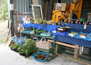 A selection of produce for sale Photo by Su Haselton