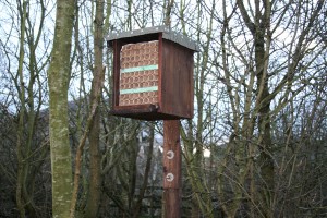 New insect house from recycled rubbish Photo by Su Haselton