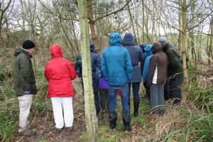 Sunday guided walk - visiting Gill's Pond Photo by Su Haselton 