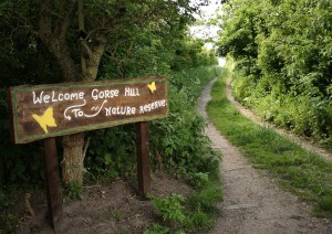 New Reserve Sign on Public Footpath Photo by Su Haselton