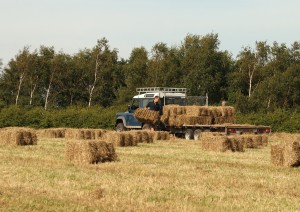 Collecting Hay Bales Photo by Su Haselton